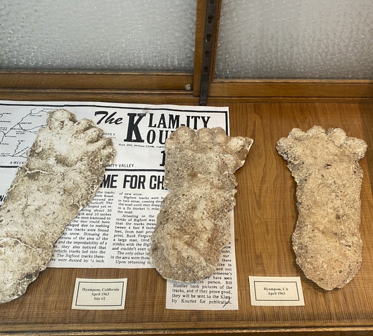 the-bigfoot-museum-photo